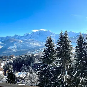  Appartement Large Apt 80m Superb View Mont-blanc 6p